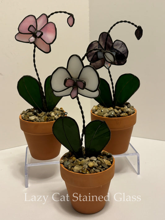 Graceful Orchid - Stained Glass Blooms